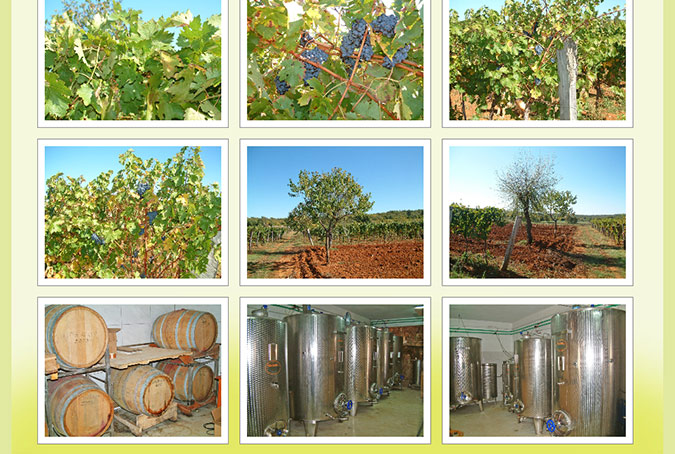 Trost Winery